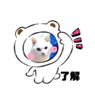 ランちゃんシリーズ（個別スタンプ：6）