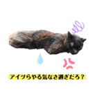 ネコ団欒2（暗黒編）（個別スタンプ：4）
