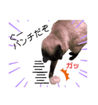 ネコ団欒2（暗黒編）（個別スタンプ：8）