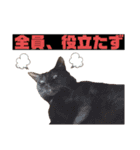 ネコ団欒2（暗黒編）（個別スタンプ：10）