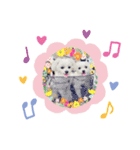 マルチワワ ロンくん＆マルチーズルル 挨拶（個別スタンプ：5）