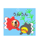 ジャックのロッタちゃん☆7（個別スタンプ：11）