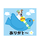 ジャックのロッタちゃん☆7（個別スタンプ：17）
