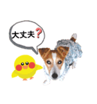 ジャックのロッタちゃん☆7（個別スタンプ：18）