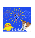 ジャックのロッタちゃん☆7（個別スタンプ：21）