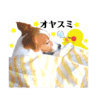 ジャックのロッタちゃん☆7（個別スタンプ：23）