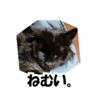 ひめかめがび2（個別スタンプ：2）