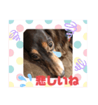 まろももスタンプ③単語編（個別スタンプ：27）