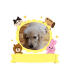 愉快な怜央10（個別スタンプ：2）