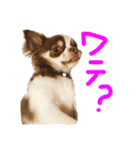 デビやさぐれVer.（個別スタンプ：17）