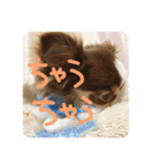 デビやさぐれVer.（個別スタンプ：40）