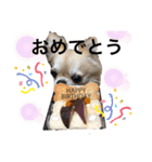 ロイシェリ①（個別スタンプ：2）