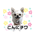 ロイシェリ①（個別スタンプ：22）