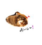 あっくんしか勝たん‼️（個別スタンプ：1）