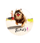 あっくんしか勝たん‼️（個別スタンプ：16）