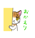 猫のみんみんとしろ 日常スタンプ（個別スタンプ：15）