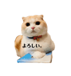 Monet -モネ-（個別スタンプ：1）