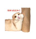 Monet -モネ-（個別スタンプ：2）