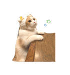 Monet -モネ-（個別スタンプ：8）