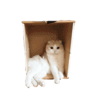 Monet -モネ-（個別スタンプ：18）