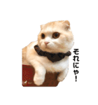 Monet -モネ-（個別スタンプ：25）