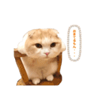 Monet -モネ-（個別スタンプ：31）