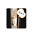 Monet -モネ-（個別スタンプ：33）