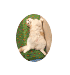 Monet -モネ-（個別スタンプ：35）