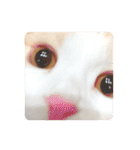 Monet -モネ-（個別スタンプ：36）