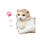 Monet -モネ-（個別スタンプ：38）