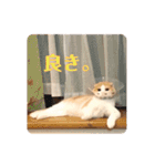 Monet -モネ-（個別スタンプ：40）