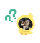 ぼぶ りん らん（個別スタンプ：3）