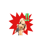 LOVE！TOY POODLE！！（個別スタンプ：9）