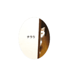 ゆきさんの日常1（個別スタンプ：3）