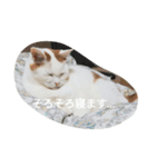 ゆきさんの日常1（個別スタンプ：6）