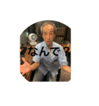 江戸っ子パキラ（個別スタンプ：1）