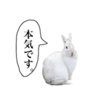 ゲスうっさ（個別スタンプ：7）