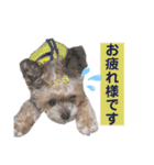 らいちゃんの毎日（個別スタンプ：6）
