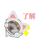 らいちゃんの毎日（個別スタンプ：11）