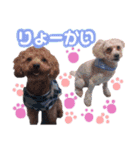 パワフル悠ちゃんstamp（個別スタンプ：16）