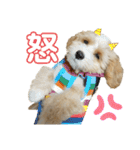 マルプーパン君❤︎（個別スタンプ：18）