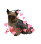 ロンちゃん♡（個別スタンプ：1）