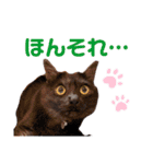 かぎさんと紫苑 7（個別スタンプ：1）