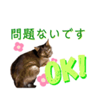 かぎさんと紫苑 7（個別スタンプ：11）
