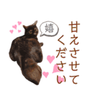 かぎさんと紫苑 7（個別スタンプ：18）