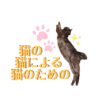 かぎさんと紫苑 7（個別スタンプ：19）