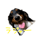 ぎんたのすたんぷ（個別スタンプ：4）