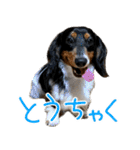 ぎんたのすたんぷ（個別スタンプ：20）