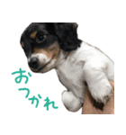 ぎんたのすたんぷ（個別スタンプ：21）
