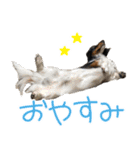 ぎんたのすたんぷ（個別スタンプ：22）